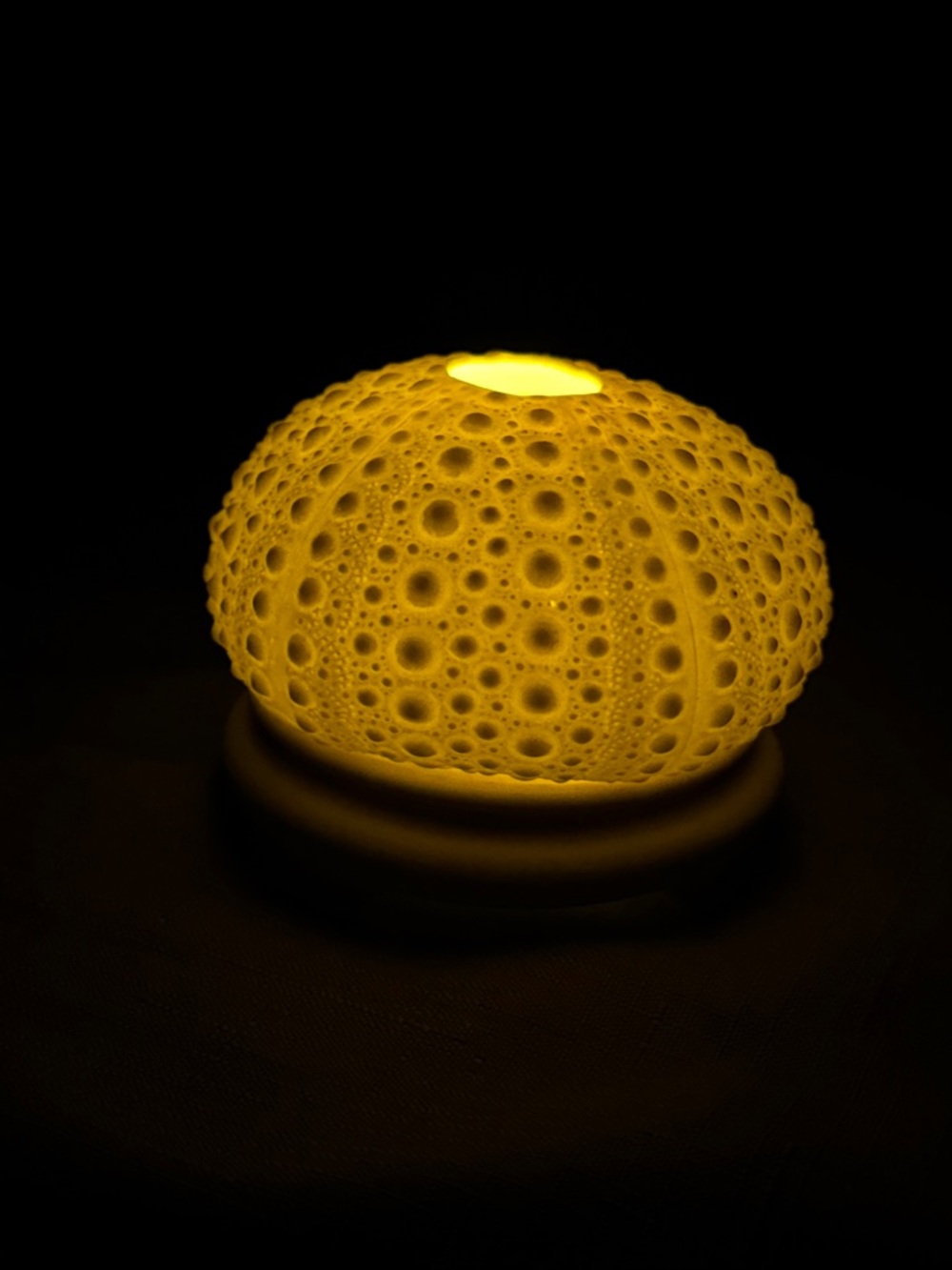 Margaret Furlong SEA URCHIN Tea Light, 2 Piece, Bisque Ivory Textured 3.5" - Picture 7 of 7